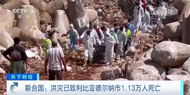 招财猫捕鱼